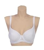 Breezies Fiber Filled Molded Cup (firm padded cup) Lace Underwire Bra RETAIL VALUE $57