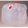 Five Gallon Collapsible Water Carrier