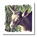 Dairy Goat Billy Kid Photographed by Angelandspot - 6x6 Iron On Heat Transfer For White Material
