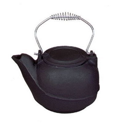 317nYy4w3YL Import C 1242 Cast Iron Humidifier With Chrome Handle   Black