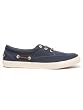 lyle scott