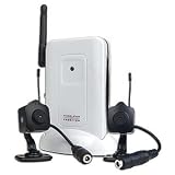 317oItV2h%2BL. SL160  2 Channel Wireless Receiver & 2 Wireless Color Cameras