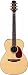 Musical Instruments : Takamine TAN76 Solid Spruce Top OM Acoustic-Electric Guitar