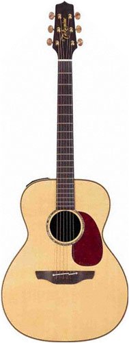 Childrens Toyshop  Musical Instruments : Takamine TAN76 Solid Spruce Top OM Acoustic-Electric Guitar