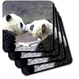 Wild animals - Baby Pandas - Coasters