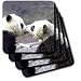 Wild animals - Baby Pandas - Coasters