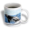 Whales - Killer whale airbourne - Mugs