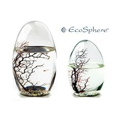 EcoSphere in Eiform - Miniaquarium aus der NASA Weltraumforschung - 13 cm H�he