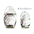 EcoSphere in Eiform - Miniaquarium aus der NASA Weltraumforschung - 13 cm H�he
