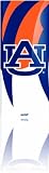 Skinit Protective Skin Fits iPod Nano 4G (AUBURN UNIVERSITY TIGERS)