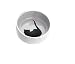 Ethical 4-1/2-Inch Grecian Stoneware Cat Dish