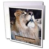 Beverly Turner Birthday Photography - Lion Happy Birthday - Greeting Cards-12 Greeting Cards with envelopes