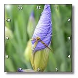 inspirational iris - 10x10 Wall Clock