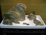 Bonsai Boy's Ancient Stone Landscape - 4 ft