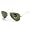 Arista Gold with Grey Green (G15) Lens