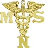 NursingPin - Masters of Science in Nursing MSN 14K Gold Pin with Diamond