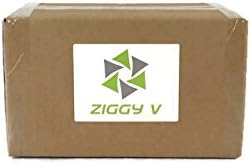 Polycarbonate Martini Glasses, 10oz, Set of (4)