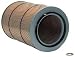 Wix 42520 Air Filter, Pack of 1