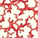Cocktail Napkins, Caspari Coral 3 Paks of 20
