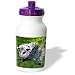 Wild animals - Opossum - Water Bottles