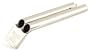 Acme Two-Tone Whistle Large