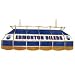 NHL Edmonton Oilers Stained Glass 40 inch Lighting Fixture