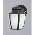 Westinghouse 64516 One-Light Outdoor Downward Wall Sconce, Matte Black with Frosted Globe