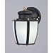 Westinghouse One-Light Outdoor Downward Wall Sconce, Matte Black with Frosted Globe #64516