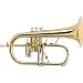 Antoine Courtois Paris AC155-1-0 Professionel Bb Flugelhorn (Lacquer Rose Brass Bell)