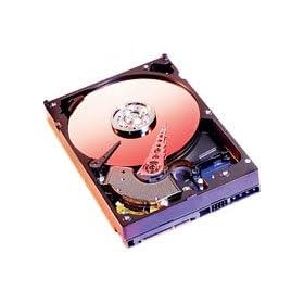 Western Digital - Caviar SE WD5000KS - Disque dur - 500 Go - interne - 3.5" - SATA-300 - 7200 tours/min - m�moire tampon : 16 Mo