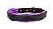 Perri's Leather Metallic Padded Leather Dog Collar