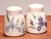 Iris Salt And Pepper