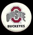 Ohio State University Tire Cover - White Size D10