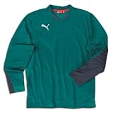 PUMA v5.08 Buffon LS Goalkeeper Jersey (Red)