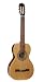 La Patrie Guitar, Motif QI