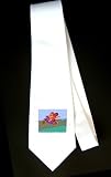 Party Decoration Necktie with cat, helmet, pair, motorcycle, riding