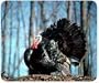 JCI - Mouse Pad - Turkey