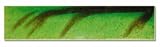 Moss Green Victorian Fireplace Tiles