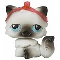 Littlest Pet Shop Exclusive Single Pack Figure Siamese Cat