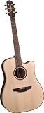 NEW Takamine ETN10C Dreadnought ELECTRONICS DISTRIBUTER