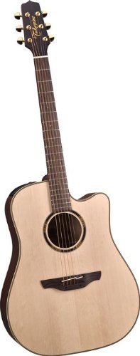 NEW Takamine ETN10C Dreadnought ELECTRONICS DISTRIBUTER