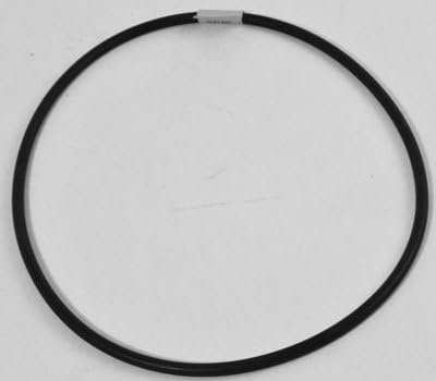 Speck 2920341220 Model 433 Pool & Spa Pump Flange O-Ring