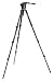 Manfrotto