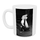 Rudolf Nureyev and Margot Fonteyn - Mug - Standard Size