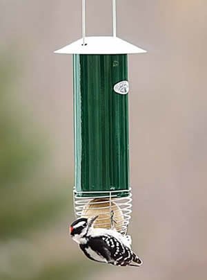 Automatic Suet Ball Feeder