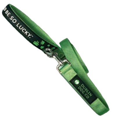 Dublin Dog Nylon Leash, 5 Feet Long, 1 Inches Wide, Olive
