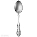 Oneida Michelangelo Serving Spoon