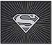 Search : Superman Silver Rear Floor Mat