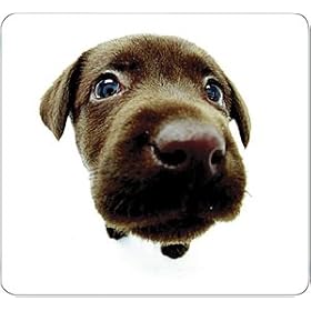 Allsop Chocolate Lab Mouse Pad - Mouse pad by Allsop