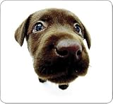 Allsop Chocolate Lab Mouse Pad - Mouse pad